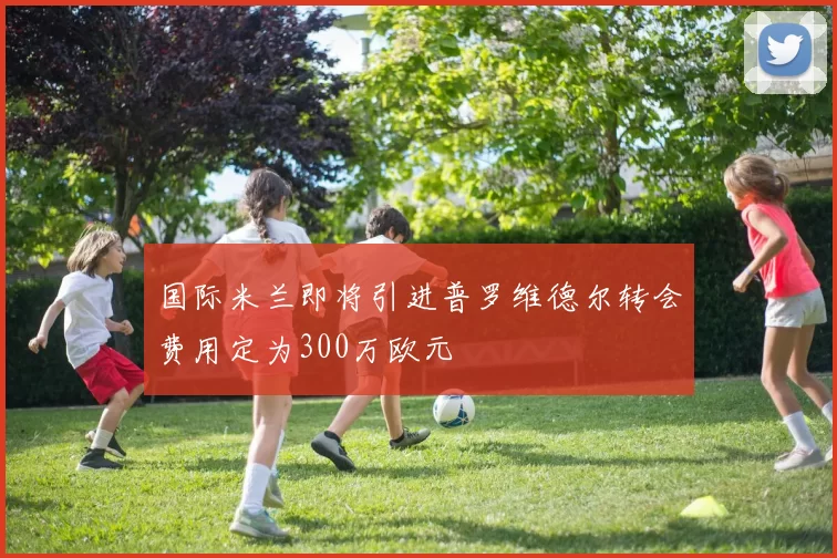 国际米兰即将引进普罗维德尔转会费用定为300万欧元