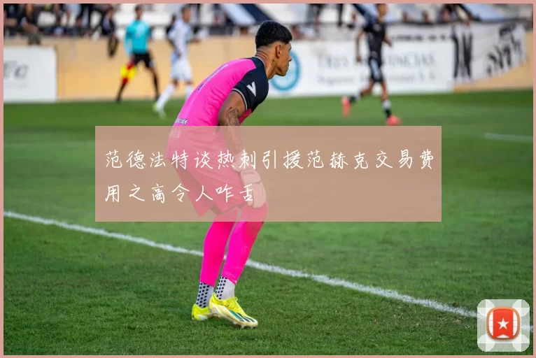 范德法特谈热刺引援范赫克交易费用之高令人咋舌